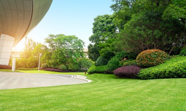 Commercial Lawn Care in Madison