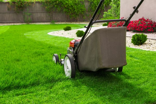 Home Yard Maintenance in Madison
