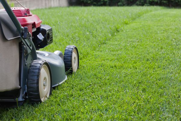 Lawn Care Service in Madison