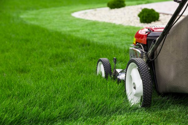 Mowing Service in Madison