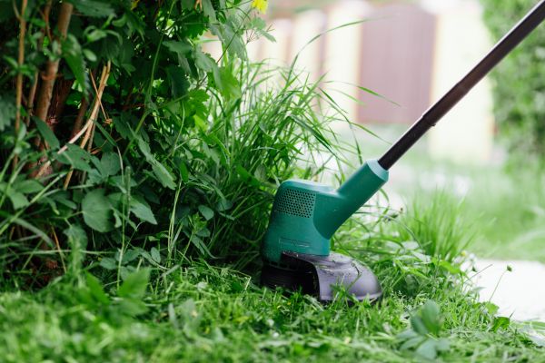 Weed Whacking in Madison