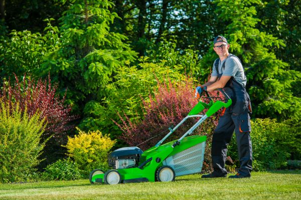 Yard Work Service in Madison