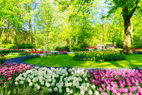 Spring Lawn Care in Madison