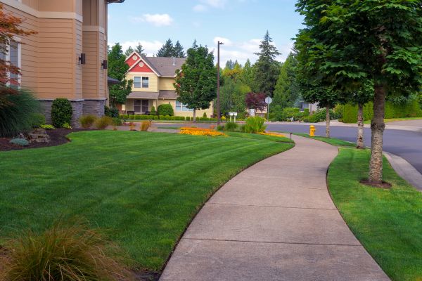 Home Lawn Maintenance in Madison