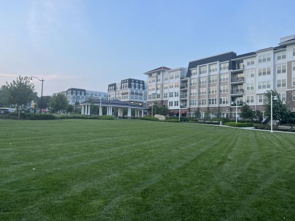 Urban Lawn Care in Madison