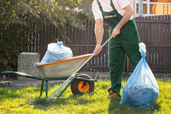 Yard Cleaning in Madison