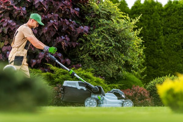 Lawn Management in Madison