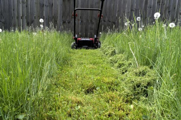 High Grass Mowing in Madison