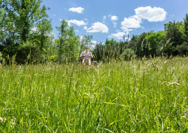 Long Grass Mowing in Madison
