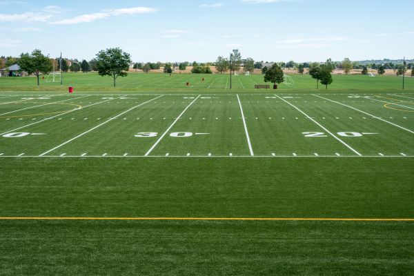 Groundskeeping Service in Madison