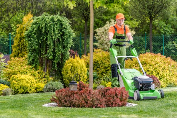 Commercial Yard Maintenance in Madison