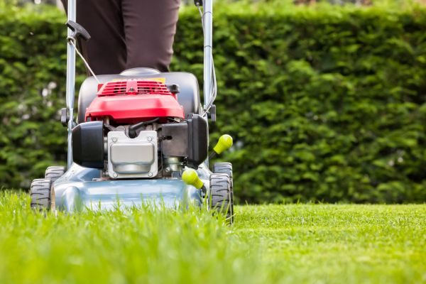 Grass Trimming Service in Madison