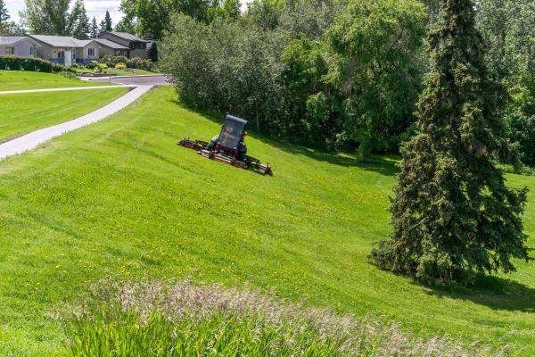 Hillside Mowing in Madison