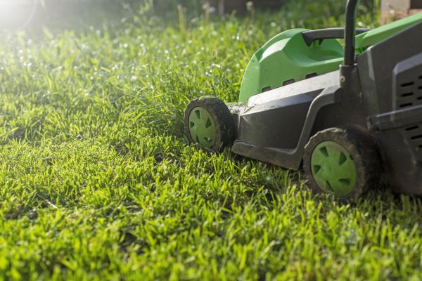 Lot Mowing in Madison