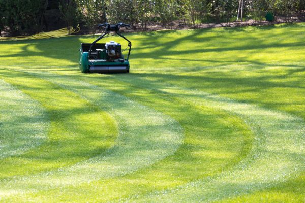 Business Lawn Mowing in Madison