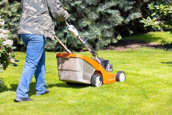 Springtime Lawn Care in Madison