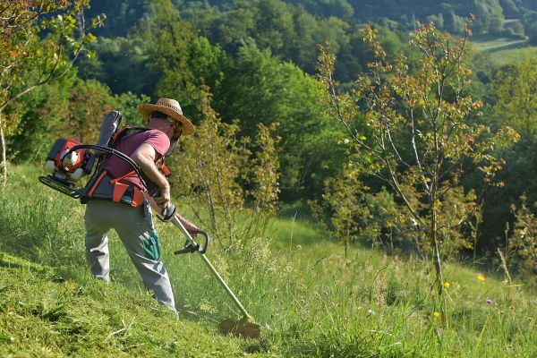 Slope Mowing in Madison