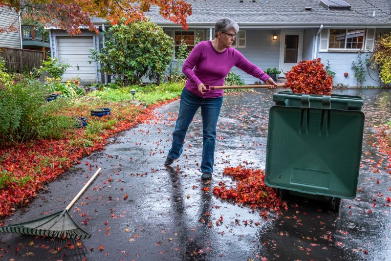 Leaf Pile Removal
