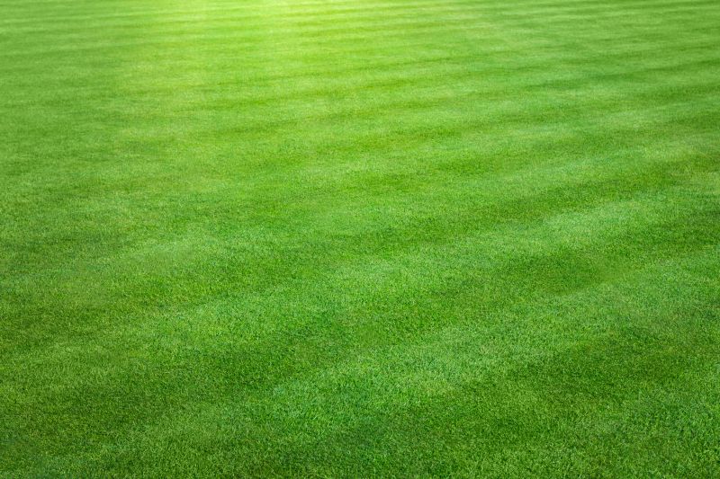 Residential Lawn Mowing detail