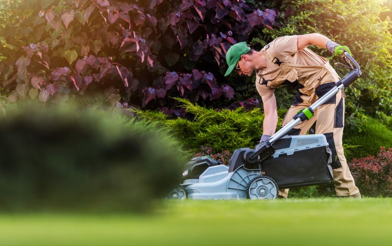 Mowing in a Residential Yard