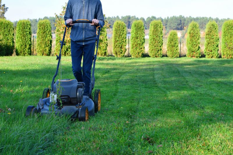 Black Friday Lawn Service Discounts